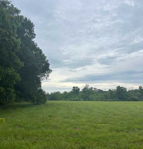 0 Finch Ln Lot 8, Independence, LA 70443