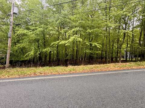 Bishop Court, Bushkill, PA 18324