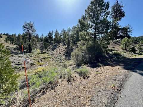 492 Clouds Rest, Portola, CA 96122