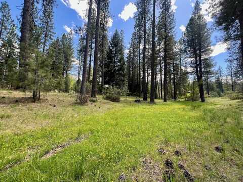 375 Eureka Springs Drive, Blairsden, CA 96103