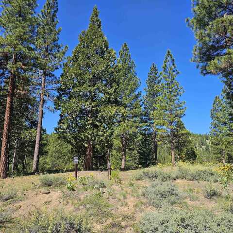 403 Big Grizzly, Portola, CA 96122