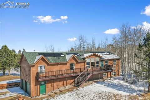 63 Bear Claw Trail, Divide, CO 80814