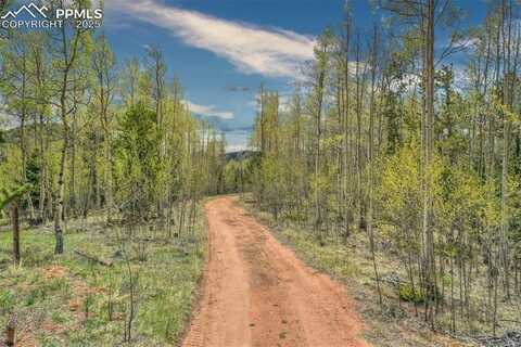 12201 S Highway 67, Cripple Creek, CO 80813