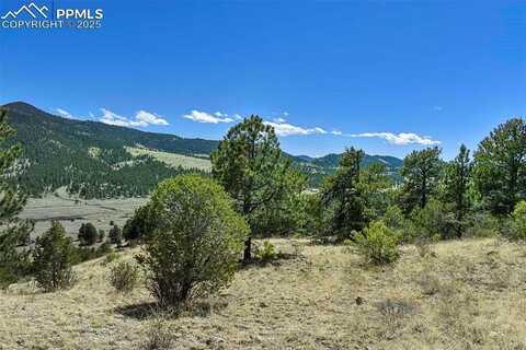87 Wagon Wheel Circle, Guffey, CO 80820