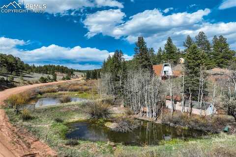 1074 Pathfinder Road, Florissant, CO 80816