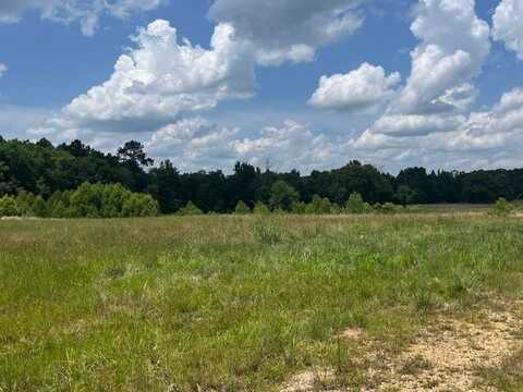34 D Oscar Lee, Poplarville, MS 39470