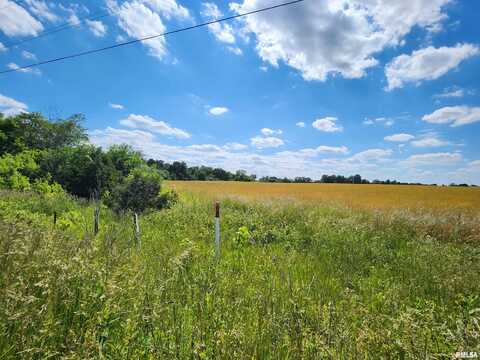 0000 N Panzier Lane, Woodlawn, IL 62898