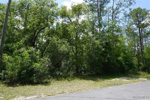 10072 N Conrad Point, Citrus Springs, FL 34434