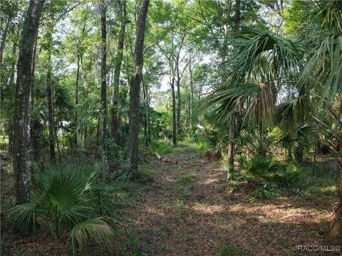 0 SE 144 Place, Inglis, FL 34449