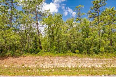 16295 Mount Sparrow Road, Brooksville, FL 34614