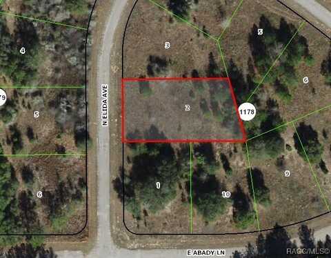 8823 N Elida Avenue, Citrus Springs, FL 34434