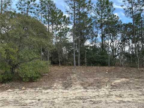 9581 N WALLACE Way, Citrus Springs, FL 34434