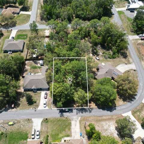 8100 N hillview Circle, Citrus Springs, FL 34434