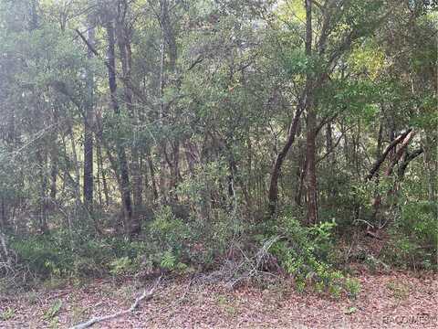 2845 W Gardenia Drive, Citrus Springs, FL 34434