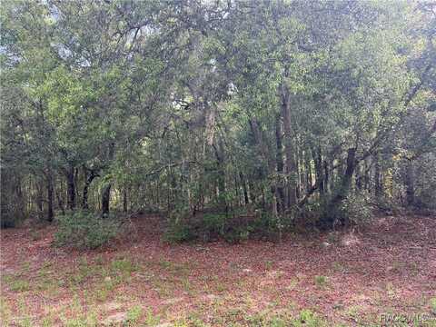 8381 N Quarry Drive, Citrus Springs, FL 34434