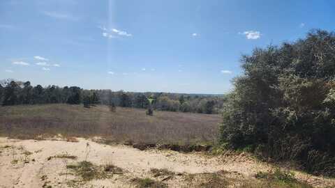 0 AN COUNTY ROAD 441, PALESTINE, TX 75803