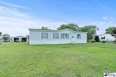 5721 Anderson Field Road, Effingham, SC 29541