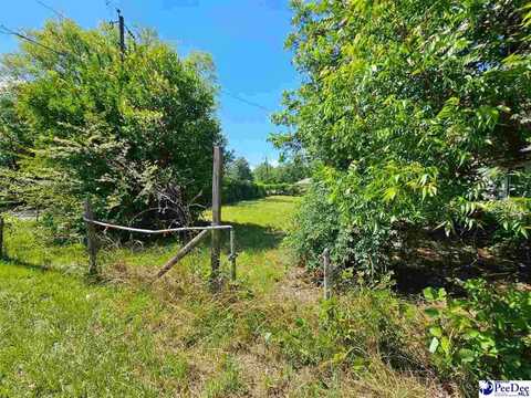 222 Marion Ave, Hartsville, SC 29550