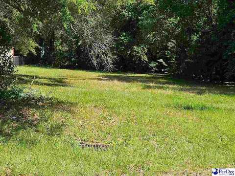 429 Sumter Ave, Hartsville, SC 29550