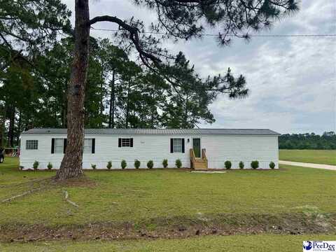 1014 NEW LIFE RD, MARION, SC 29571