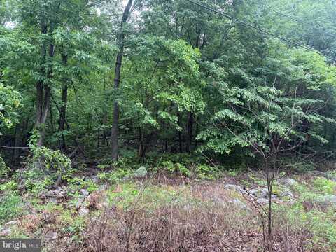IROQUOIS TRAIL, WINCHESTER, VA 22602