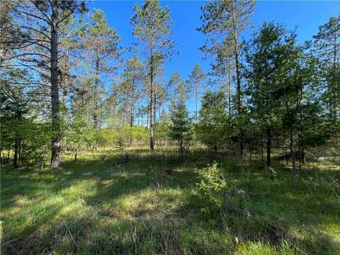 Elaine Drive lot: 2, Hayward, WI 54843