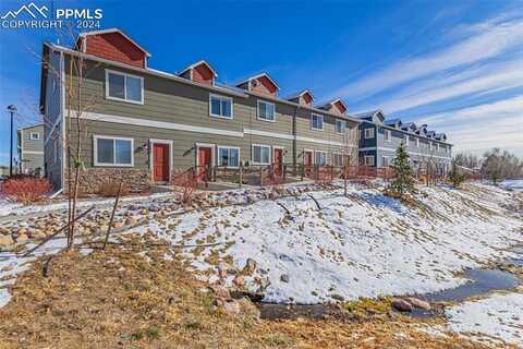 4312 River Line Grove, Colorado Springs, CO 80911