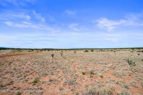 L313 Windmill Ranches, Ancho, NM 88301