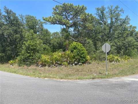 6645 W Erlen Lane, Homosassa, FL 34448