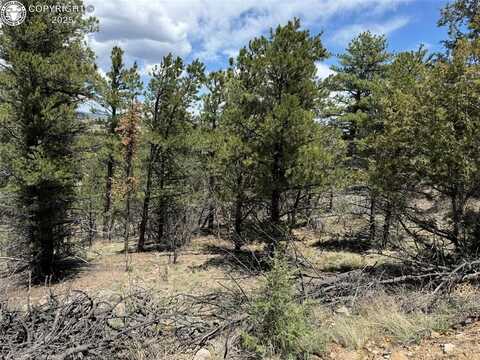 Tbd 33rd Trail, Cotopaxi, CO 81223
