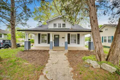 718 Wilson Avenue, Johnson City, TN 37604