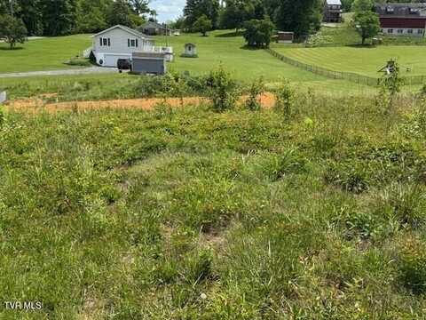 3593 Highway 390, Bluff City, TN 37618