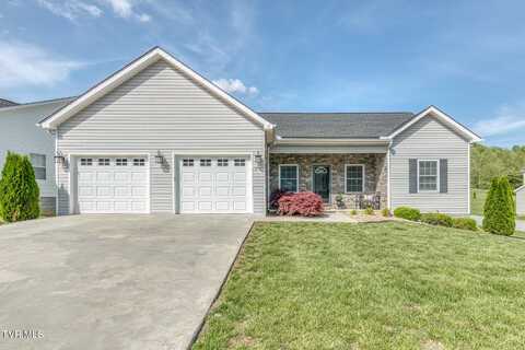 171 Brighton Place, Bristol, TN 37620