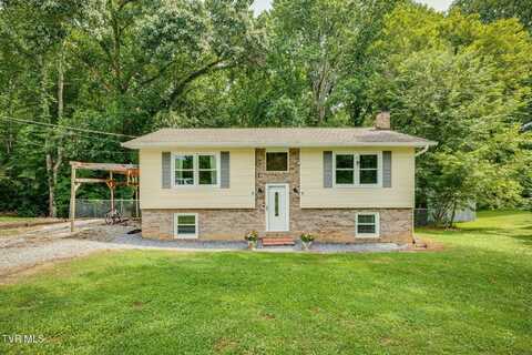 484 Pleasant Hill Road, Blountville, TN 37617