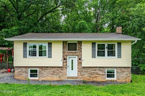 484 Pleasant Hill Road, Blountville, TN 37617