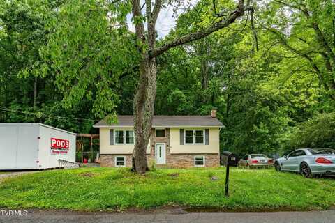 484 Pleasant Hill Road, Blountville, TN 37617