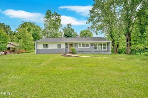 1000 Althea Street, Johnson City, TN 37601