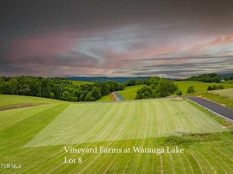 Lot 8 Dry Hill Road, Butler, TN 37640