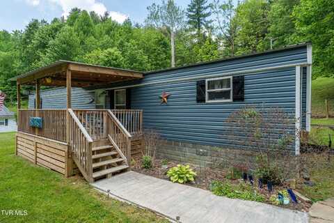 481 Fox Hollow Hollow, Mountain City, TN 37683