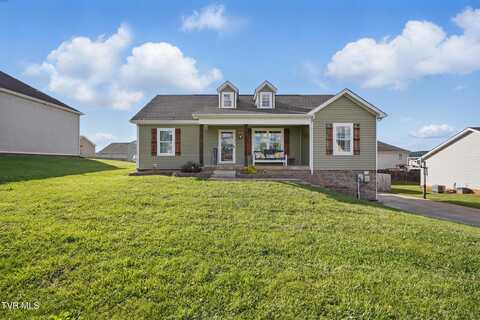 202 Yellow Sorrell Drive Drive, Bluff City, TN 37618