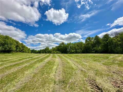 N297 197th Street, Stockholm, WI 54769