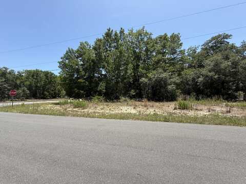 11064 N Academy Drive, Citrus Springs, FL 34434