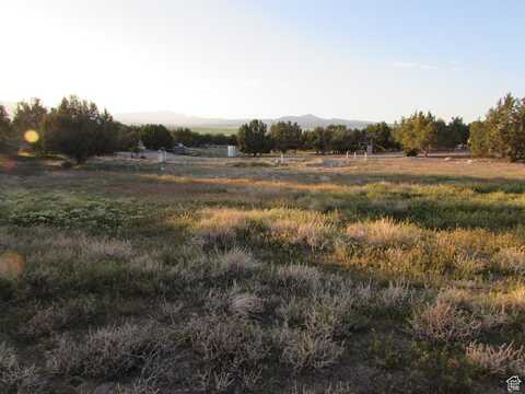 13932 N 6300 E, Spring City, UT 84662