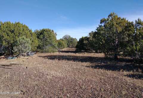 42 Cochise Trail, Vernon, AZ 85940