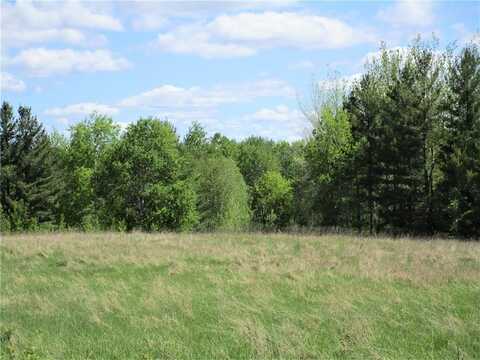 Lot 2 85th Street, Frederic, WI 54837