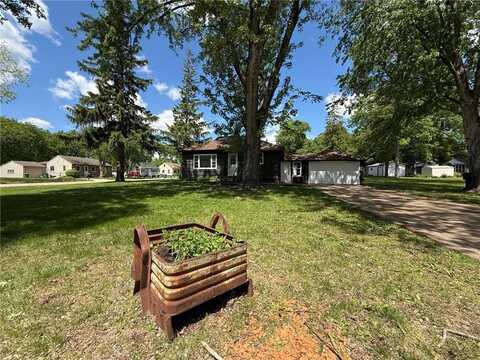 446 W Darwin Street, Litchfield, MN 55355