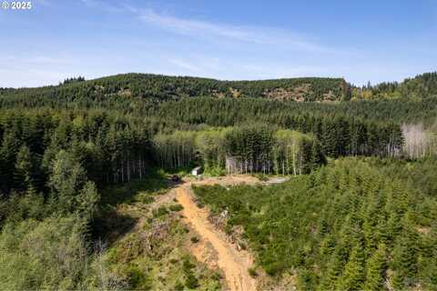 0 Conyers Creek, Clatskanie, OR 97016