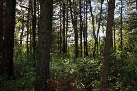 215 York Street, Pine River, MN 56474