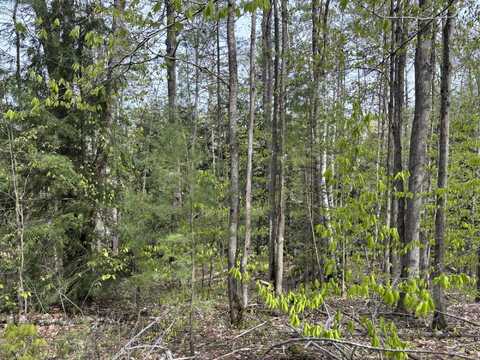 000 Cree Trail, Gaylord, MI 49735