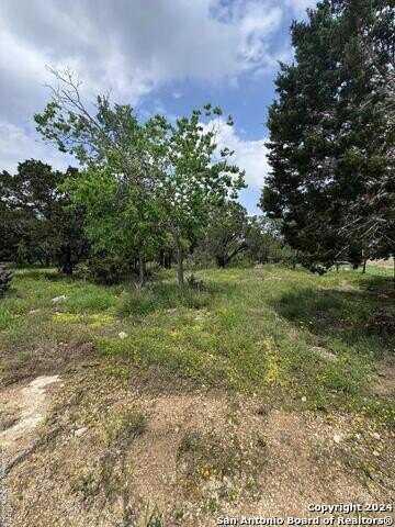 262 WREN CIR, Spring Branch, TX 78070
